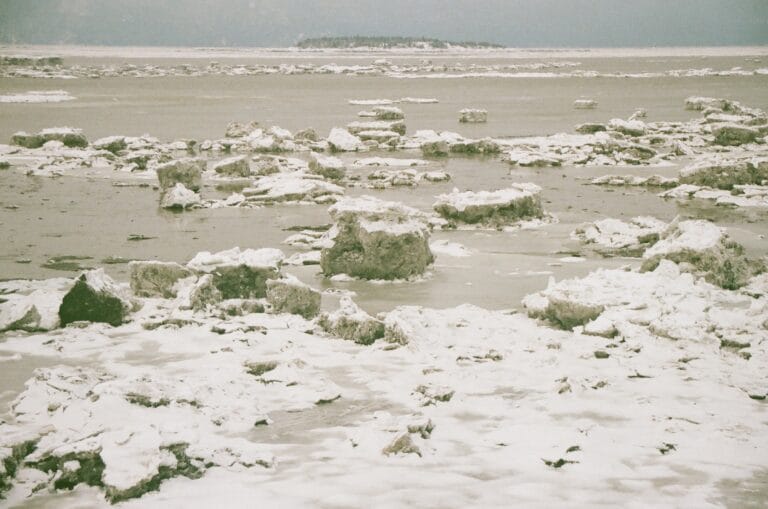 Sans titre (Île de la Corneille)