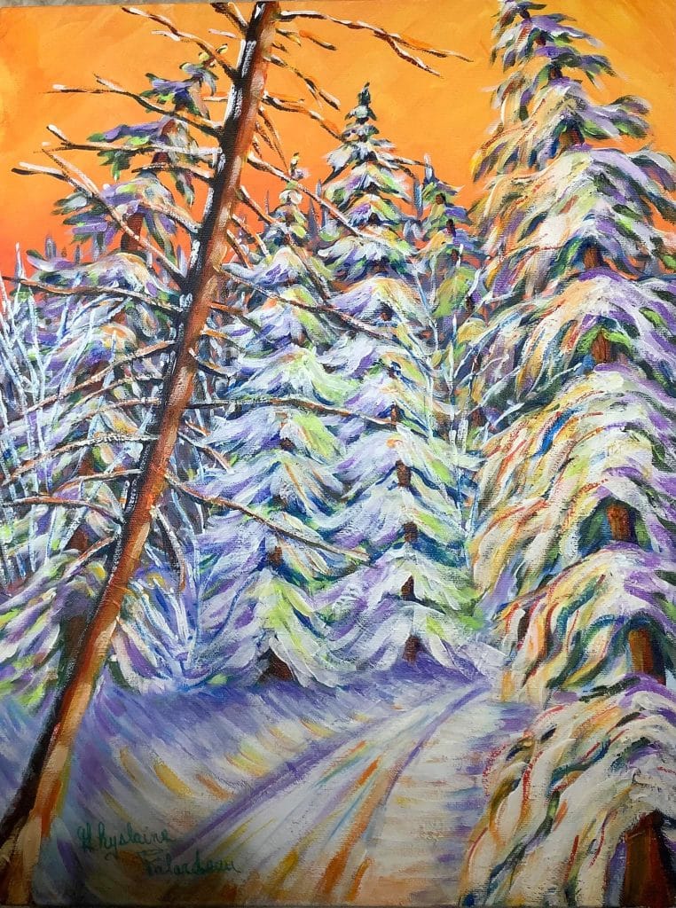 Les sapins verts en hiver