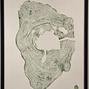 Estampe cerne d'arbre
